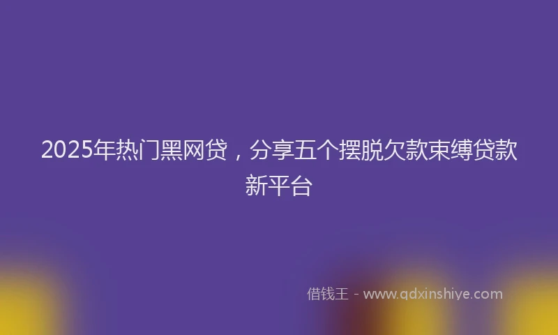2025年热门黑网贷，分享五个摆脱欠款束缚贷款新平台