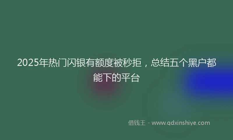 2025年热门闪银有额度被秒拒，总结五个黑户都能下的平台
