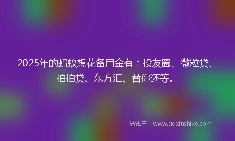 2025年的蚂蚁想花备用金有：投友圈、微粒贷、拍拍贷、东方汇、替你还等。
