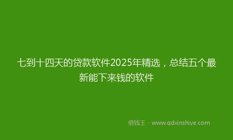 七到十四天的贷款软件2025年精选，总结五个最新能下来钱的软件