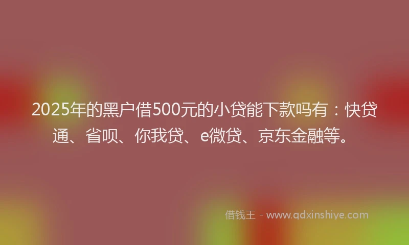 2025年的黑户借500元的小贷能下款吗有：快贷通、省呗、你我贷、e微贷、京东金融等。