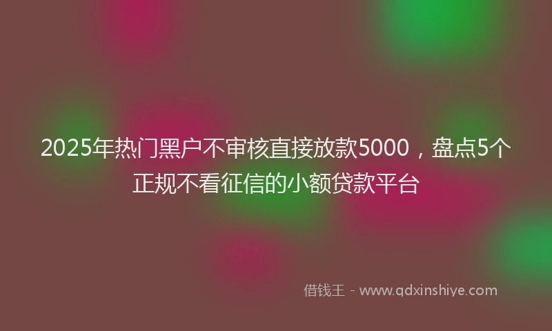 2025年热门黑户不审核直接放款5000，盘点5个正规不看征信的小额贷款平台