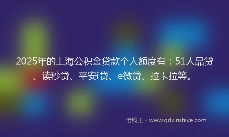 2025年的上海公积金贷款个人额度有：51人品贷、读秒贷、平安i贷、e微贷、拉卡拉等。