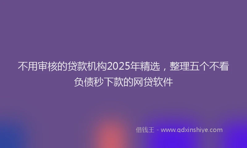 不用审核的贷款机构2025年精选，整理五个不看负债秒下款的网贷软件