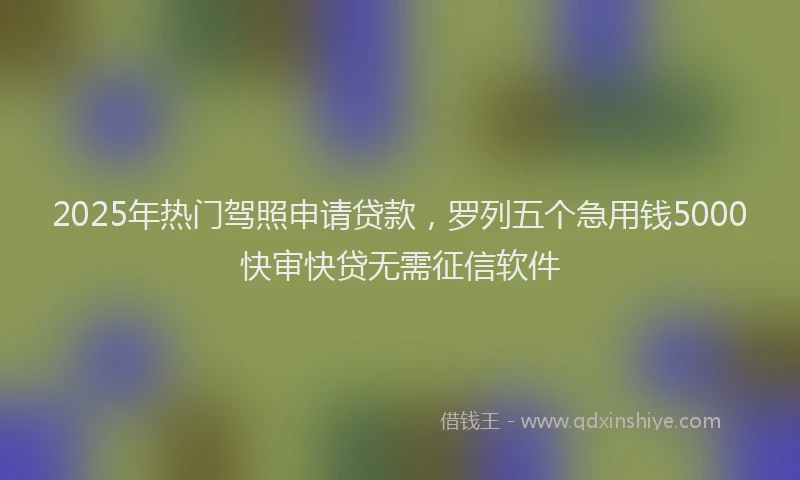 2025年热门驾照申请贷款，罗列五个急用钱5000快审快贷无需征信软件