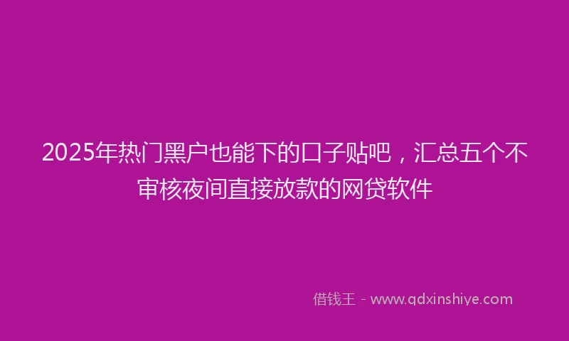 2025年热门黑户也能下的口子贴吧，汇总五个不审核夜间直接放款的网贷软件