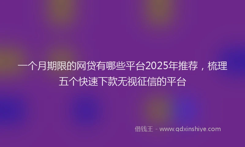 一个月期限的网贷有哪些平台2025年推荐，梳理五个快速下款无视征信的平台