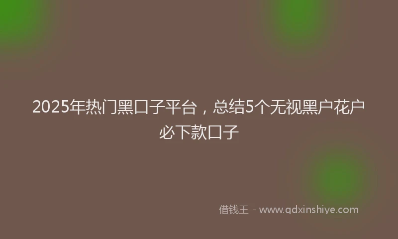 2025年热门黑口子平台，总结5个无视黑户花户必下款口子