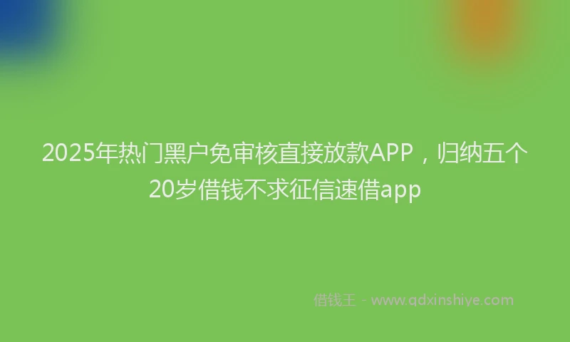 2025年热门黑户免审核直接放款APP，归纳五个20岁借钱不求征信速借app