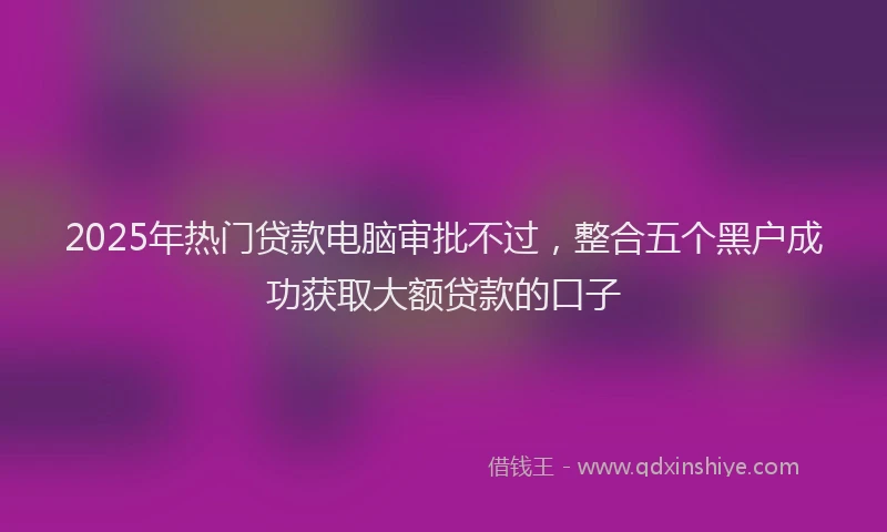 2025年热门贷款电脑审批不过，整合五个黑户成功获取大额贷款的口子
