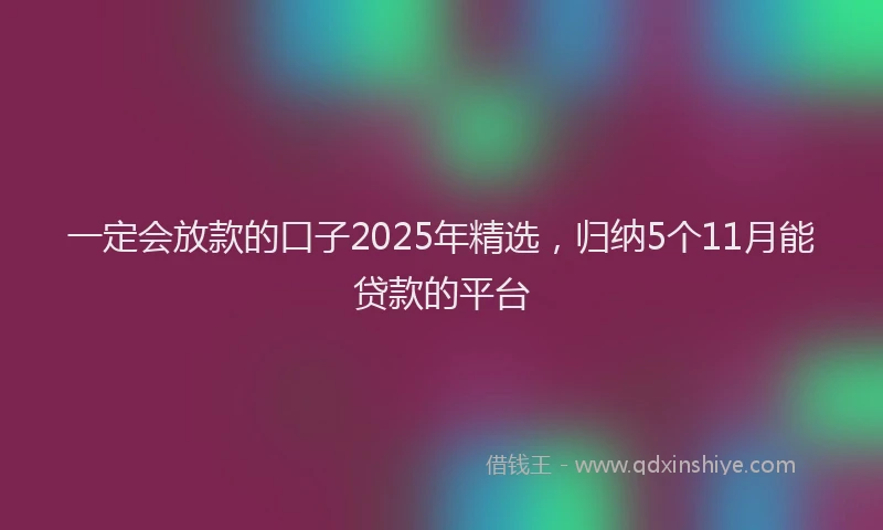 一定会放款的口子2025年精选，归纳5个11月能贷款的平台