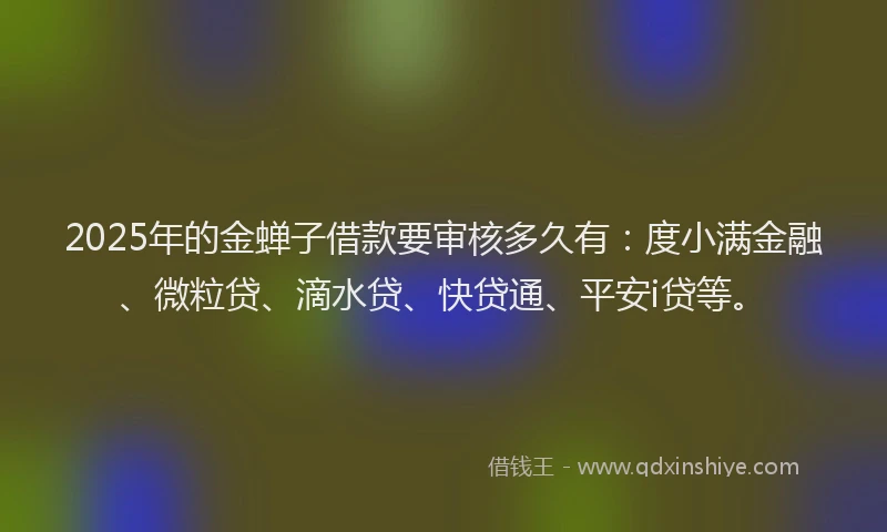 2025年的金蝉子借款要审核多久有：度小满金融、微粒贷、滴水贷、快贷通、平安i贷等。