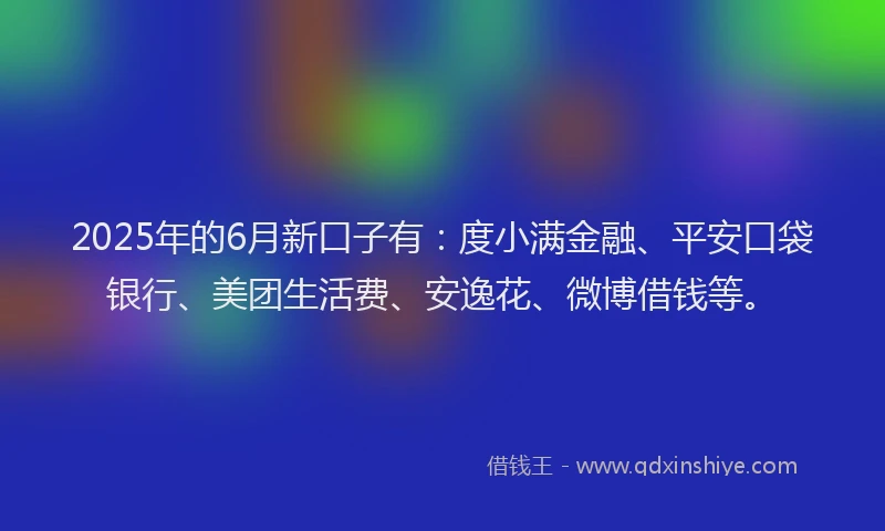 2025年的6月新口子有：度小满金融、平安口袋银行、美团生活费、安逸花、微博借钱等。