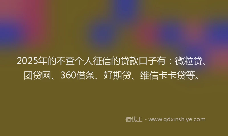 2025年的不查个人征信的贷款口子有：微粒贷、团贷网、360借条、好期贷、维信卡卡贷等。