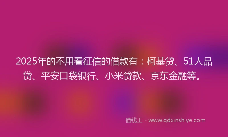 2025年的不用看征信的借款有：柯基贷、51人品贷、平安口袋银行、小米贷款、京东金融等。