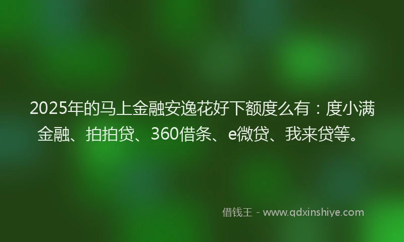 2025年的马上金融安逸花好下额度么有：度小满金融、拍拍贷、360借条、e微贷、我来贷等。