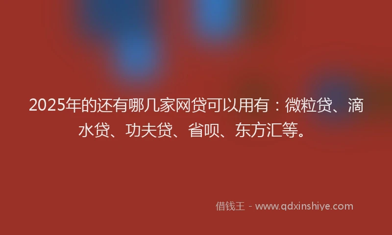 2025年的还有哪几家网贷可以用有：微粒贷、滴水贷、功夫贷、省呗、东方汇等。