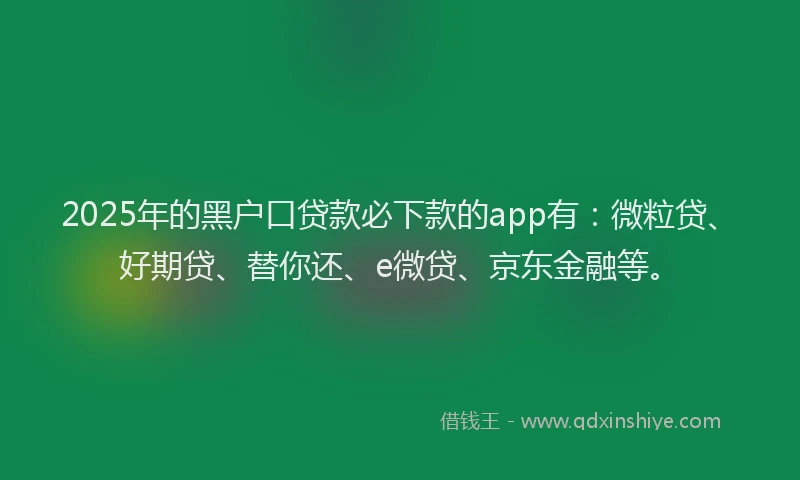 2025年的黑户口贷款必下款的app有：微粒贷、好期贷、替你还、e微贷、京东金融等。