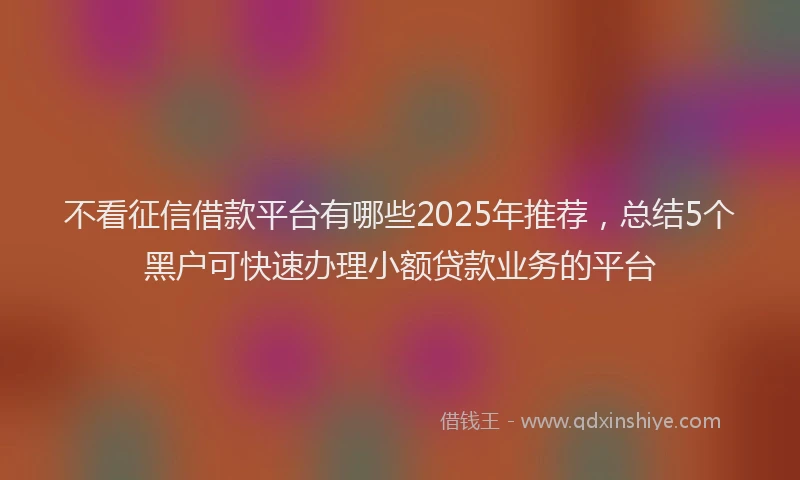 不看征信借款平台有哪些2025年推荐，总结5个黑户可快速办理小额贷款业务的平台
