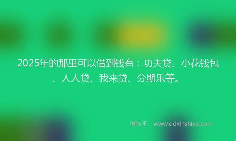 2025年的那里可以借到钱有：功夫贷、小花钱包、人人贷、我来贷、分期乐等。
