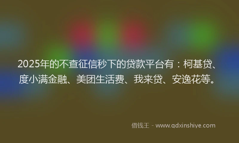 2025年的不查征信秒下的贷款平台有：柯基贷、度小满金融、美团生活费、我来贷、安逸花等。