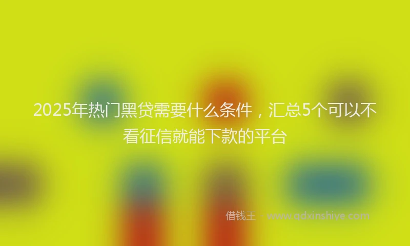 2025年热门黑贷需要什么条件，汇总5个可以不看征信就能下款的平台
