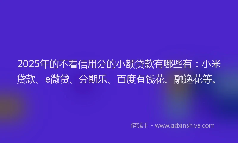 2025年的不看信用分的小额贷款有哪些有：小米贷款、e微贷、分期乐、百度有钱花、融逸花等。