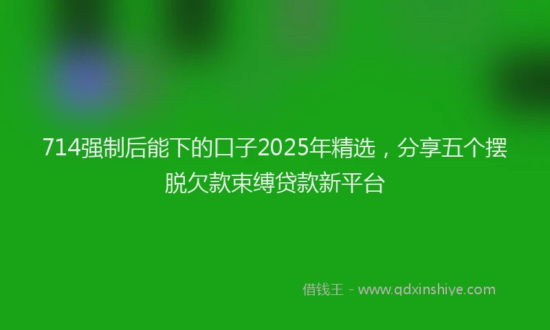 714强制后能下的口子2025年精选，分享五个摆脱欠款束缚贷款新平台