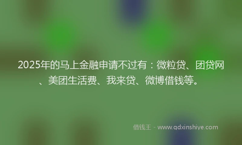 2025年的马上金融申请不过有：微粒贷、团贷网、美团生活费、我来贷、微博借钱等。