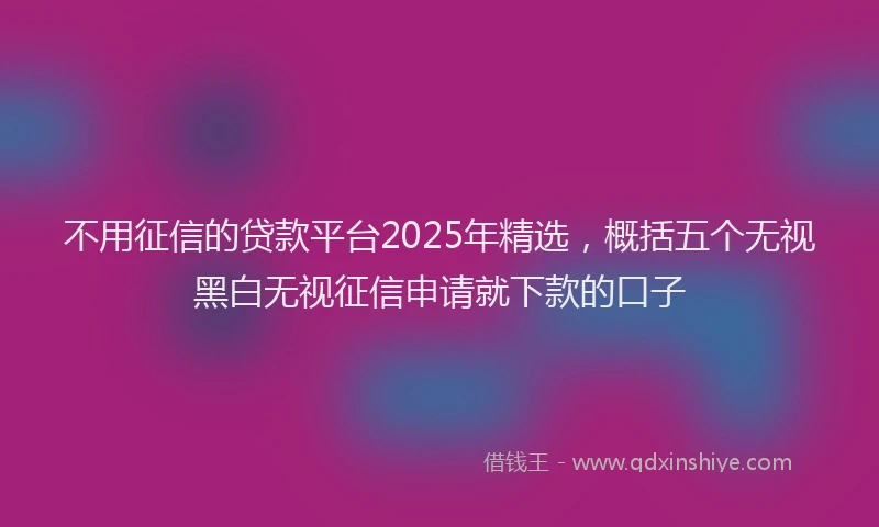 不用征信的贷款平台2025年精选，概括五个无视黑白无视征信申请就下款的口子