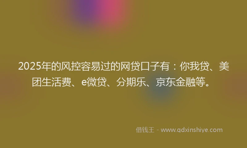 2025年的风控容易过的网贷口子有：你我贷、美团生活费、e微贷、分期乐、京东金融等。