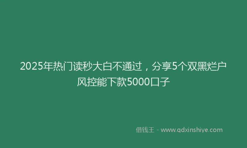 2025年热门读秒大白不通过，分享5个双黑烂户风控能下款5000口子