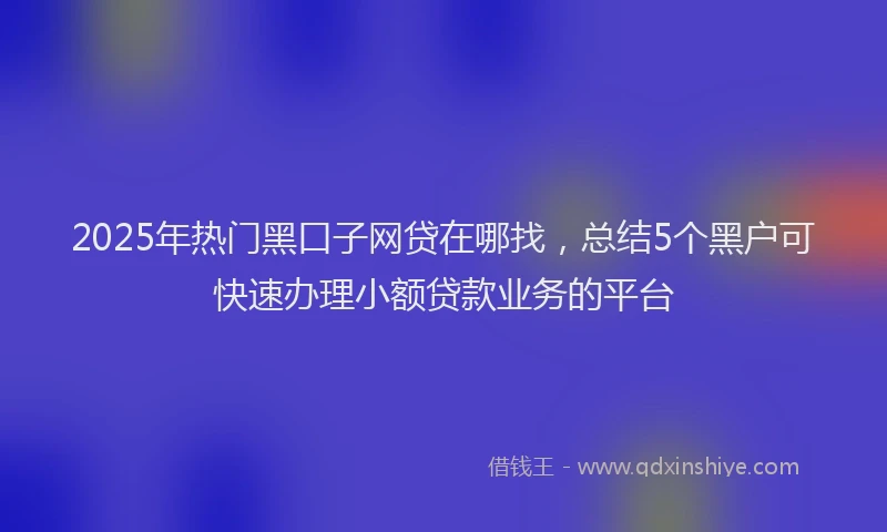 2025年热门黑口子网贷在哪找，总结5个黑户可快速办理小额贷款业务的平台