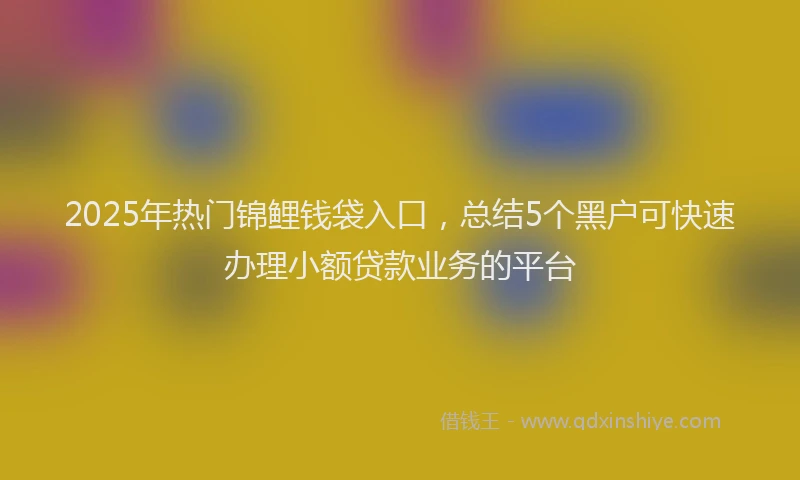 2025年热门锦鲤钱袋入口，总结5个黑户可快速办理小额贷款业务的平台