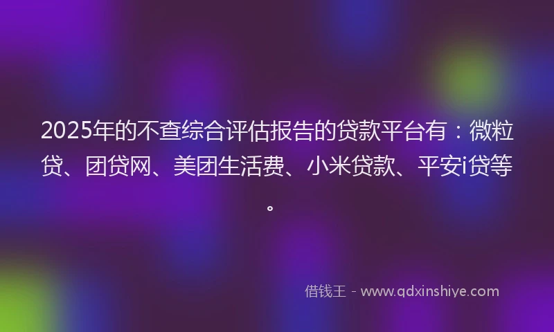 2025年的不查综合评估报告的贷款平台有：微粒贷、团贷网、美团生活费、小米贷款、平安i贷等。