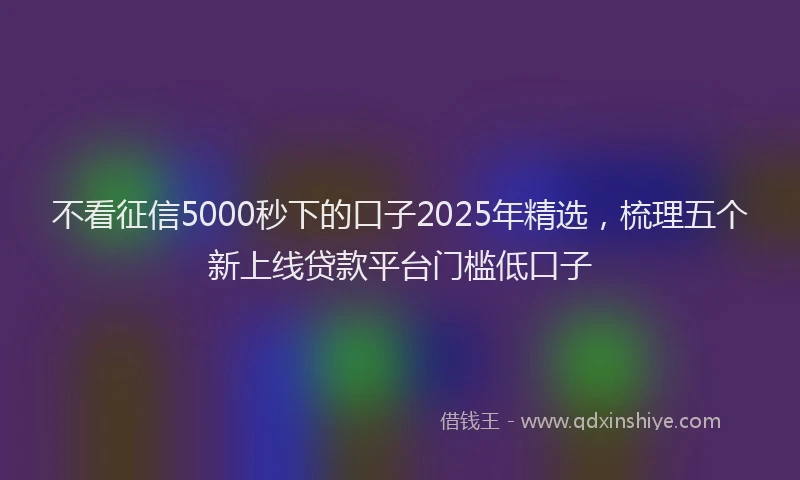 不看征信5000秒下的口子2025年精选，梳理五个新上线贷款平台门槛低口子