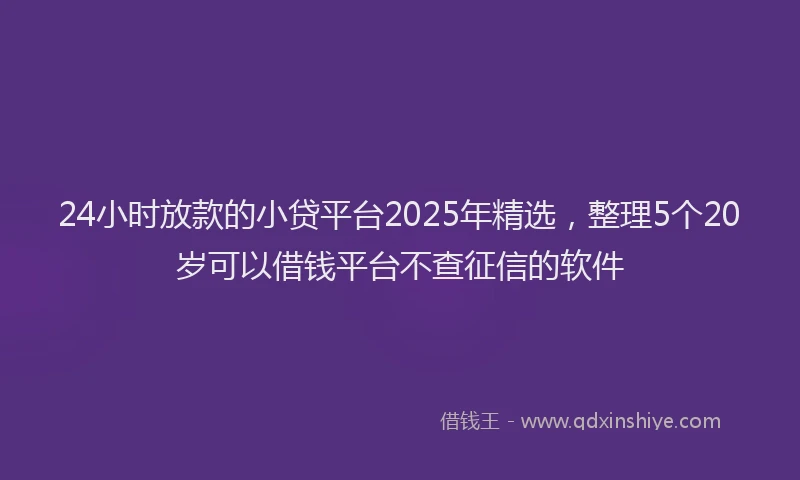 24小时放款的小贷平台2025年精选，整理5个20岁可以借钱平台不查征信的软件