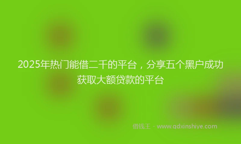 2025年热门能借二千的平台，分享五个黑户成功获取大额贷款的平台