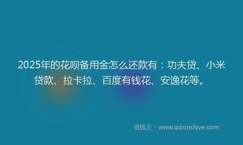 2025年的花呗备用金怎么还款有：功夫贷、小米贷款、拉卡拉、百度有钱花、安逸花等。
