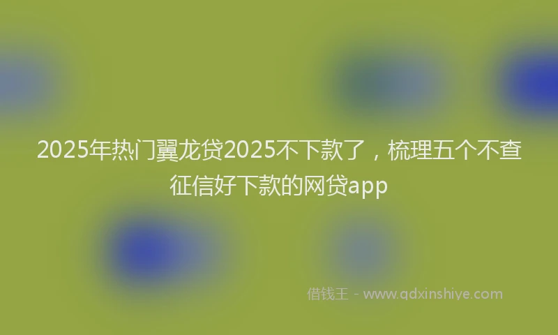 2025年热门翼龙贷2025不下款了，梳理五个不查征信好下款的网贷app