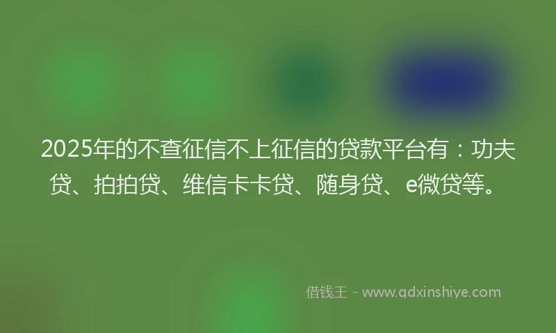 2025年的不查征信不上征信的贷款平台有：功夫贷、拍拍贷、维信卡卡贷、随身贷、e微贷等。