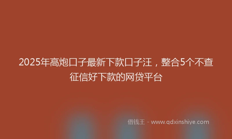 2025年高炮口子最新下款口子汪，整合5个不查征信好下款的网贷平台
