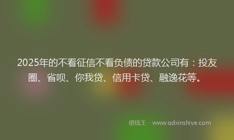 2025年的不看征信不看负债的贷款公司有：投友圈、省呗、你我贷、信用卡贷、融逸花等。