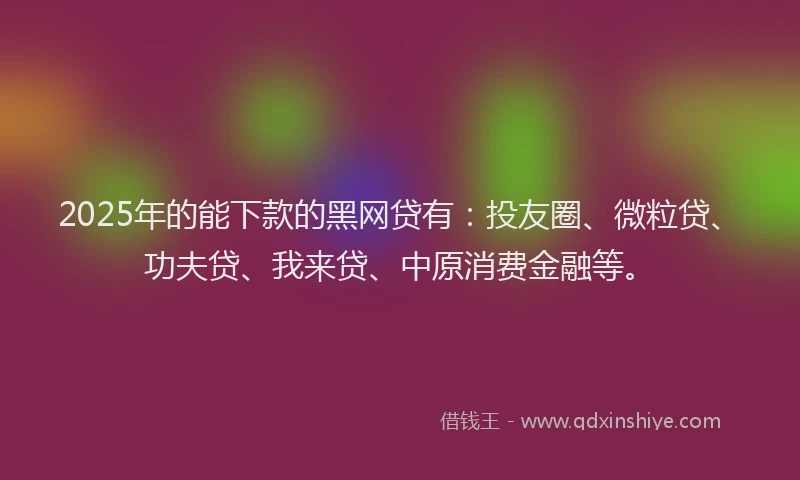 2025年的能下款的黑网贷有：投友圈、微粒贷、功夫贷、我来贷、中原消费金融等。