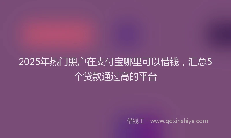 2025年热门黑户在支付宝哪里可以借钱，汇总5个贷款通过高的平台
