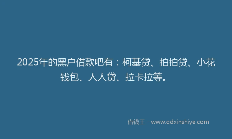 2025年的黑户借款吧有：柯基贷、拍拍贷、小花钱包、人人贷、拉卡拉等。