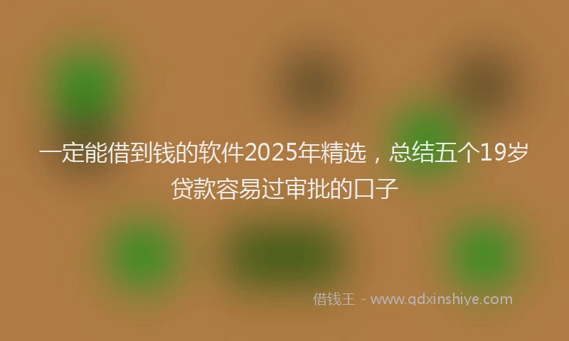 一定能借到钱的软件2025年精选，总结五个19岁贷款容易过审批的口子