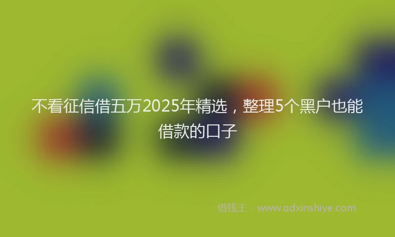 不看征信借五万2025年精选，整理5个黑户也能借款的口子