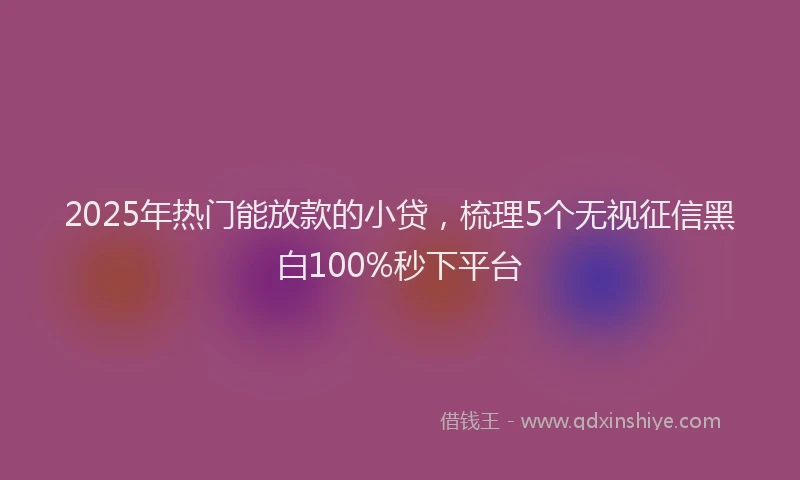 2025年热门能放款的小贷，梳理5个无视征信黑白100%秒下平台