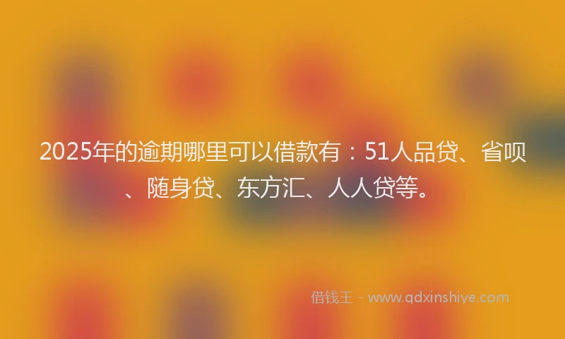 2025年的逾期哪里可以借款有：51人品贷、省呗、随身贷、东方汇、人人贷等。